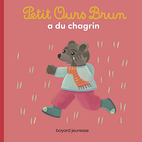 Petit Ours Brun a du chagrin Petit Ours Brun a du chagrin