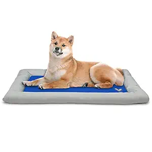 Arf Pets Dog Self Cooling Bed Pet Bed ? Solid Gel Based Self Cooling Mat for Pets, Includes a Foam Based Bolster Bed for Extra Comfort, 22