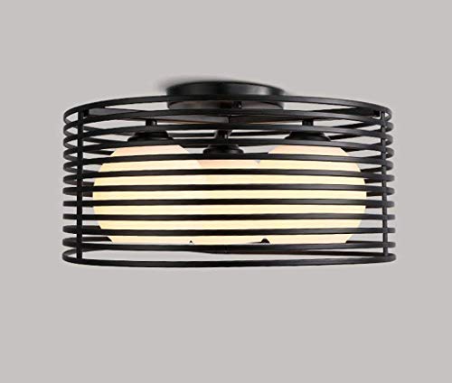 Ceiling Light, Home Living Room Bedroom Ceiling Light, Courtesy Light, Simple Modern Sustainable Irons of Restaurant Lounge Invisible American Creative Led-Irons Invisible Barrier-Of-The-Art Bird'S