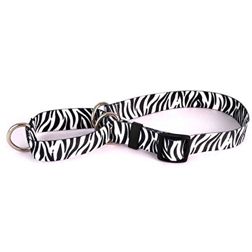 Zebra-Black-Martingale-Collar-Yellow-Dog-Design