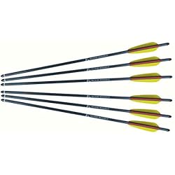 Ek Archery - Lot de 6 Traits en Carbone pour arbalètes 200 lbs Maxi - Livrés complets prêts à Tirer - Longueur 20''