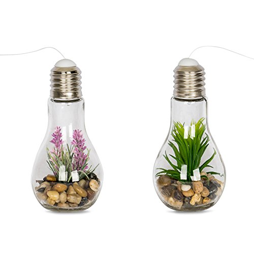 2er Set Sukkulenten LED Glühbirne Glas B x H: 8x19cm Deko Lampe Kunstpflanze Grün Rosa Hängelampe - 2
