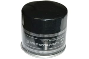 AERREAUTO 2175 218 FILTRE À HUILE LOMBARDINI LDW 422 442 CHATENET GRECAV LIGIER MICROCAR