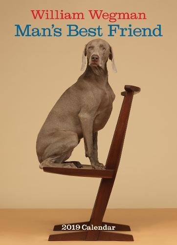 Preisvergleich Produktbild William Wegman Man's Best Friend 2019 Wall Calendar