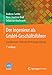 Der Ingenieur als GmbH-Geschäftsführer: Grundwissen, Haftung, Vertragsgestaltung (VDI-Buch) by 