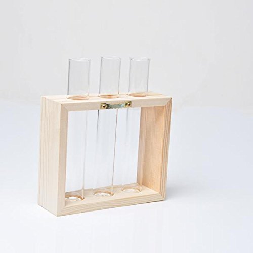 MagiDeal Kristall Reagenzglas Glas Vase In Holzständer Wand Hängen Für Blumen Pflanzen - 9