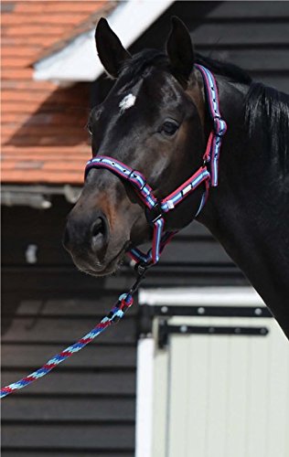Roma-Coordinate-PonyHorse-Headcollar-Dark-BlueCeriseGreen