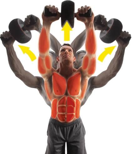 IRON GYM Speed Abs – Bauchmuskeltrainer / Ab Wheel / Abdominal Trainer - 2