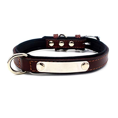 Preisvergleich Produktbild Hawkimin Hund Pullover xs Hundehaustier Katze Hundehalsbänder Kragen Edelstahl abgerundete quadratische Schnalle