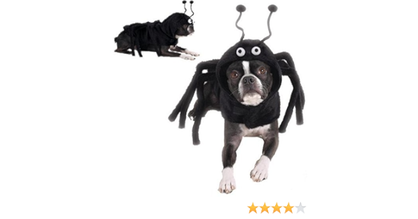 spider dog costume amazon