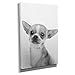 Produktbild Chihuahua Portrait - KUNSTDRUCK auf Leinwand (40x60 cm) zum VERSCHÖNERN IHRER WOHNUNG. Verschiedene Formate AUF ECHTHOLZRAHMEN. HÖCHSTE QUALITÄT, UMWELTBEWUSST hergestellt. MIT GARANTIE.