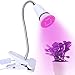 Produktbild LED Pflanzenlampe, Wachstumslampe Pflanzenlicht Wachsen licht Pflanzenleuchte Wachstumslampe mit 360 Grad einstellbar Flexible für Büro Haus Garten Aquatische Pflanzen Blumen Veg Sämling(6W)