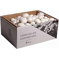 Amazon.es: Kits de cultivo en casa: Jardín