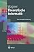 Theoretische Informatik: Eine Kompakte Einführung (Springer-Lehrbuch) by Klaus W. Wagner