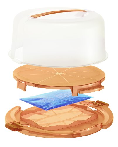Rotho 1720102217 Tortenglocke Kuchenbutler Cool und fresh aus Kunststoff PP, ideal zum Transportieren Kühlen von Torten, mit Tragegriff Kühlkissen, circa 38 x 34 x 16 cm, transparent / orange - 2