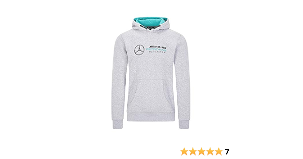 Mercedes AMG Petronas Felpa con Cappuccio Driver F1 Motorsport Team -  Grigio - S : Amazon.it: Abbigliamento