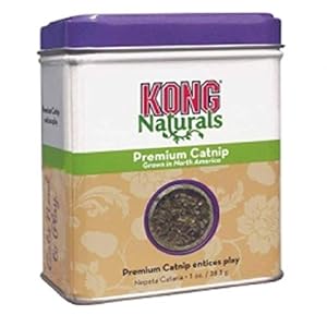 Kong Natural Catnip