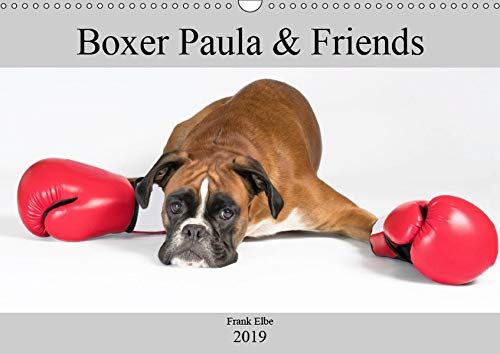 Boxerhündin Paula and Friends (Wandkalender 2019 DIN A3 quer): Wunderschöne Portraits von Boxerhündin Paula und ihren tierischen Freunden (Monatskalender, 14 Seiten ) (CALVENDO Tiere)