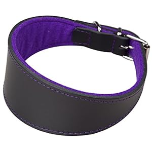 Arppe 2154013511 Collar Galgo o Cuero Superfelt, Negro y Morado