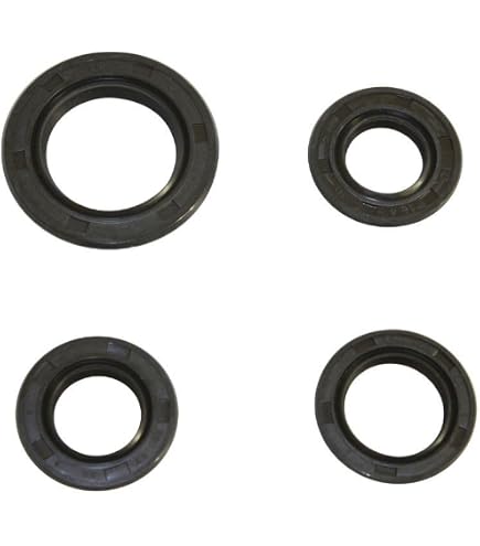 Motodak Carter Motore Per Cyclo Teknix 103 – Completo Di Guarnizioni, Cuscinetti E Viti, Pezzi Di Ricambio Per Motore