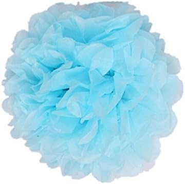 Set of 10 DIY Multicolor Tissue Paper Pompoms Hanging Craft Flower Balls Wedding Birthday Party Home Outdoor Bridal Shower Nursery Decoration [15cm Blue]