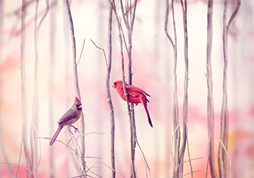 Fototapete Cardinal birds Tapete Kunstdruck Wandbild Vliestapete XXL | L 300 x 210 cm – 6 Teile | Papier - 2