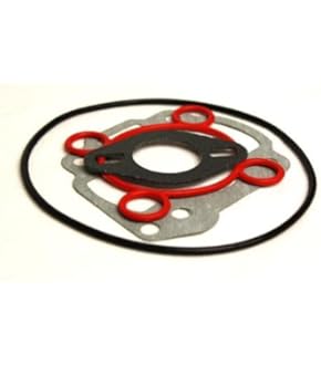 2EXTREME Variomatikgewichte 17x12mm - 7,00g Für Scooter Und Roller | Universale Varioroller