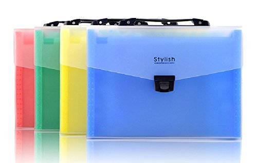 Shuter 13 Pockets A4 Expanding Accordion File Folder with Handle,Buckle Closure and Subject Labels (Set of 4 Colors) by Shuter