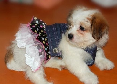 Dog-Denim-Dress-Pink-Sequin-Heart-Pocket-Chest-Circumference-Approx-115-Inch