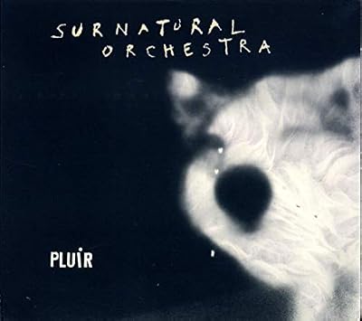 Collectif Surnatural Pluir