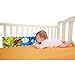 Clip on Pram Book, Soft Double Side Pram Bumper Panel Picture Book YIFAN Kids Learning and Activity Toy - Ladybird