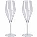 Produktbild Sektglas aus bruchsicherem Polycarbonat Eleganza, kristallklar, 2 Stück • Champagnerglas Camping Trinkglas Partyglas Kunststoff Sekt Gläser Set