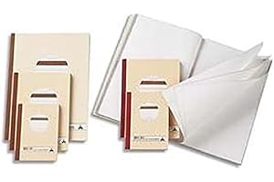 Le Dauphin - Réf. 1103D - Lot de 5 manifolds - papier autocopiant - quadrillés 5x5 - petits carreaux - triplicata - 50 feuilles - format 14,8 x 10,5 cm - couverture vernie