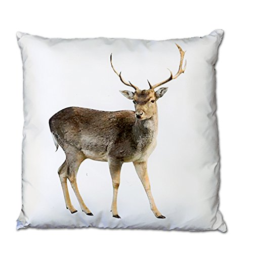 JEMIDI Kissen Waldtiere 40cm x 40cm Zierkissen Dekokissen Tiere Sofakissen Sofa Deko (Hirsch2)
