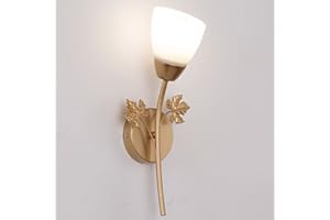 Mengjay Creativo Applique da Parete,Moderna Lampada da Parete Interno,Applique da parete Vintage illuminazione Parete Sconce per Casa, Camera da Letto, Cucina, Bar, Caffè, Ristorante (Testa singola)