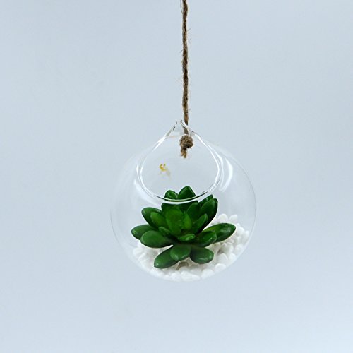 hodgea Creative zum Aufhängen Glas Kugel Vase Transparent Kultur Blume Home Hochzeit Dekoration, Glas, style 2 - 7