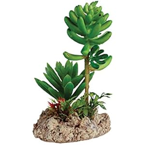 repstyle Wüstenpflanze Rock Boden Ornament,