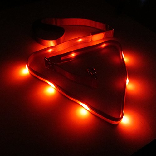 Blazin' Sicherheits-LED-Hundeleine, wiederaufladbar, über USB aufladbar, blinkendes Licht, 1,2 m und 1,8 m, wasserabweisend, vermeidet Gefahren, Small, rot