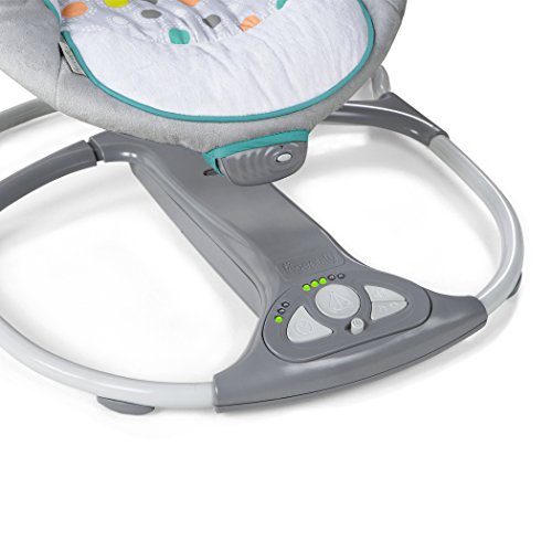 Ingenuity 10215 ConvertMe Swing-2-Seat – Ridgedale - 5