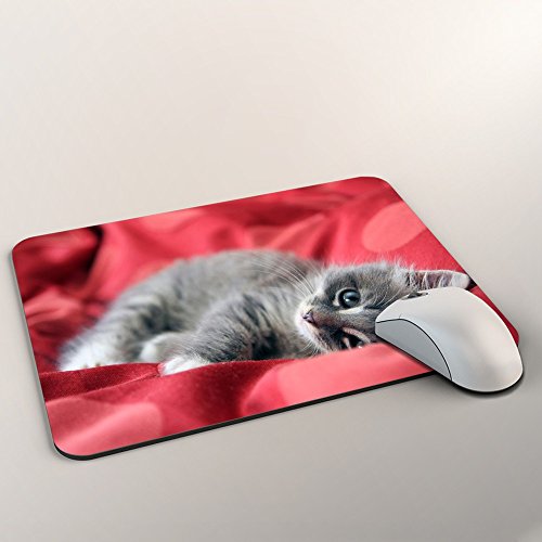 Katzen 10016, Graue Katze, Mousepad Anti Rutsch Unterseite für Optimalen Halt Kompatibel mit allen Maustypen (Kugel, Optisch, Laser) Ideal für Gamer und für Grafikdesigner. - 2