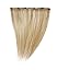 Love Hair Extensions 14 inch Clip In Extension, Human Hair, Colour 16 - Sahara Blonde