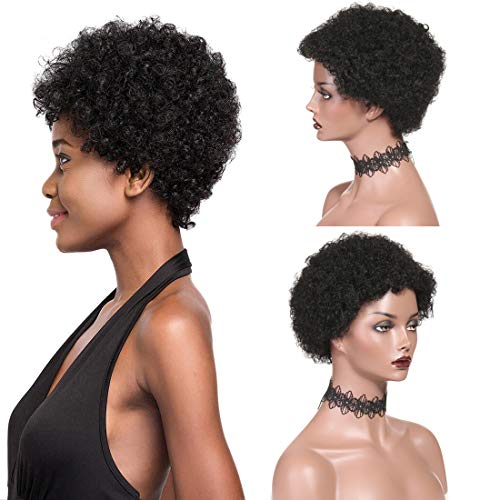 Afro Short Curly Human Hair Wigs for Black Women 100% Human Hair Wigs Natural Black