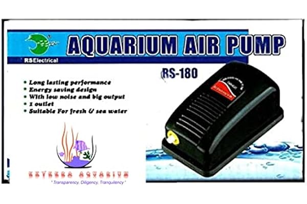 paludarium background diy