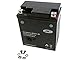 Produktbild Batterie JMT GEL - YTX7L-BS 12 Volt - Honda SH 125 JF09 Bj. 2001-2004 [ inkl.7.50 EUR Batteriepfand ]