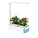 Produktbild LED Pflanzenlampe Grow Light Vollspektrum, Pflanzenlampe für Hydroponik Zimmerpflanzen Blumen und Gemüse, Pflanzenlichtkit enthält zwei Pattern Plant Grow und Desk Lamp(Blau)