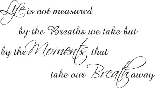 Intercoat Wall art sticker vinyl quote take that lyrics gift. Moments that take our breath away. 130x70CM