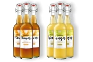 KOMBUTXA TE KOMBUCHA BEBIDA ECOLOGICA - 6x750ml te fermentado bio organic tea bebida energetica sin azucar añadido (Pack Ginger + Flowers)