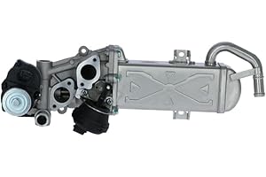 NRF 48213 AGR-Ventile