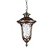 Produktbild YJH Retro Outdoor Kronleuchter, wasserdicht Outdoor Garten Villa Balkon Lampe Traube Trellis Hof Gang Korridor Kronleuchter Pavillon Lampe E27 einzigen Kopf harmonisch und heiter ( Farbe : Bronze , größe : 50.8*28CM )