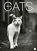 Cats Edition - Kalender 2017 by 